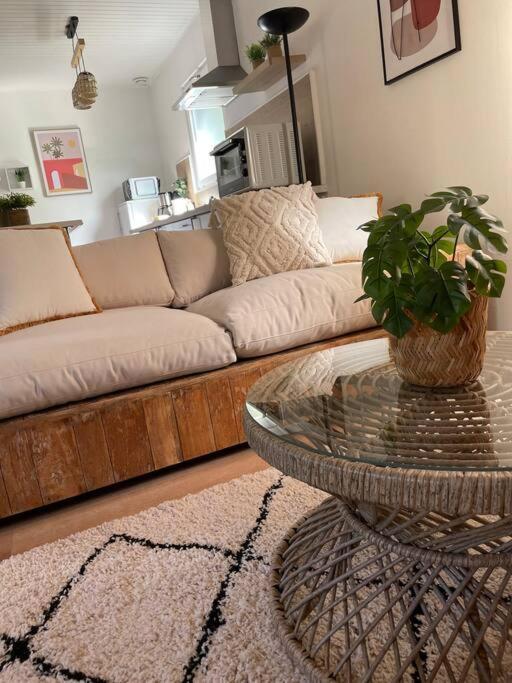 Le Clos Des Bambous Saint-Martin-Lez-Tatinghem エクステリア 写真