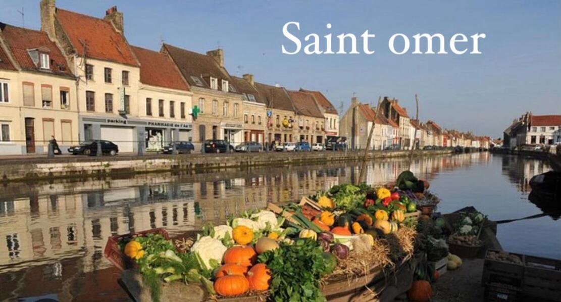 Le Clos Des Bambous Saint-Martin-Lez-Tatinghem エクステリア 写真