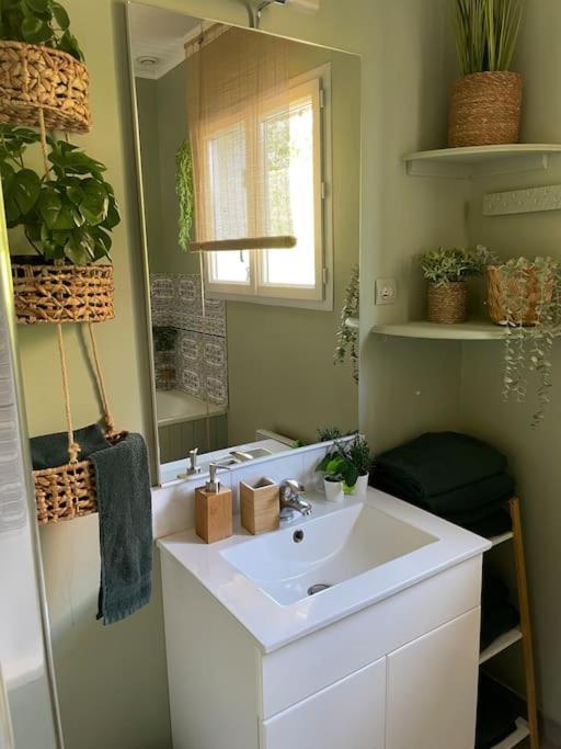 Le Clos Des Bambous Saint-Martin-Lez-Tatinghem エクステリア 写真